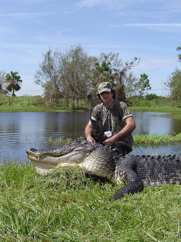 Rules for hunting gators in florida